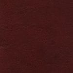 Wild Plum