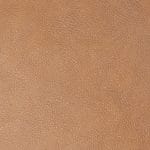 Caramel Tan